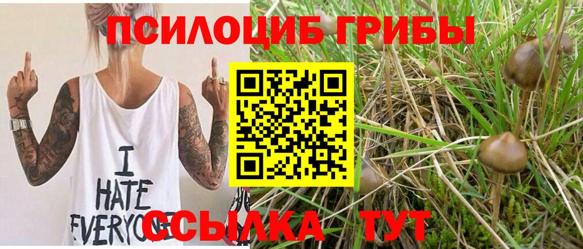 Лесосибирск  Псилоцибиновые грибы Cubensis  Вход с VPN 